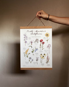 Rocky Mountain Wildflowers Poster