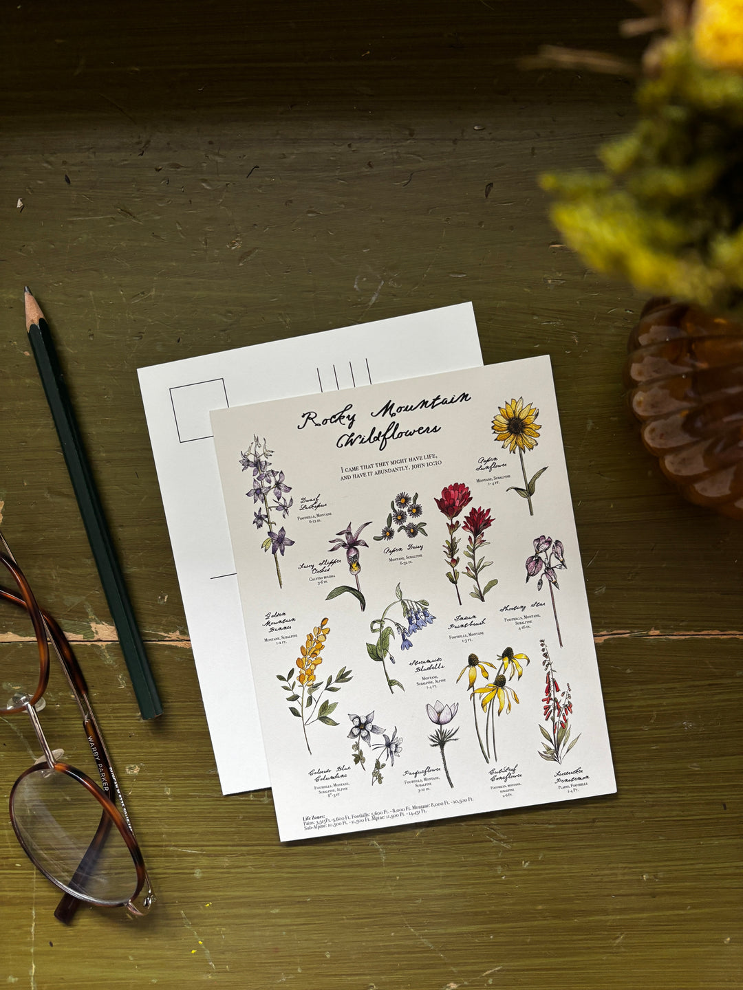 Rocky Mountain Boxed Greeting Card Set
