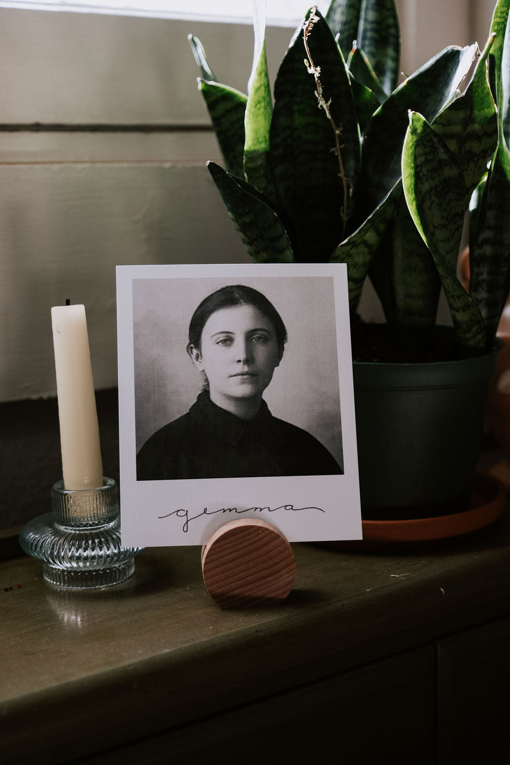 Heirloom Polaroid Saint Pack