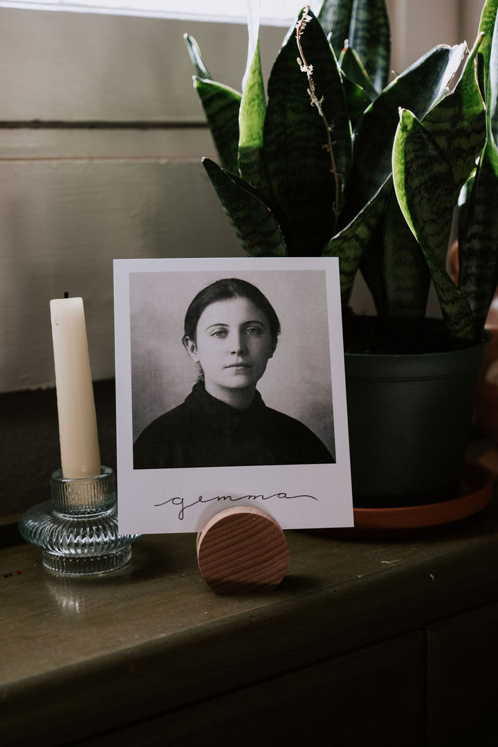 Heirloom Polaroid Saint Pack