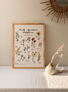 Rocky Mountain Wildflowers Poster